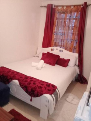 Zawadi lovely furnished studio